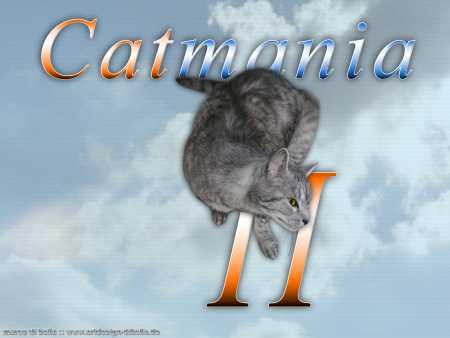 Bild: Catmania 2