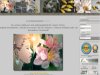 einfach1Laden - der Onlineshop von ARTdesign Di Bella