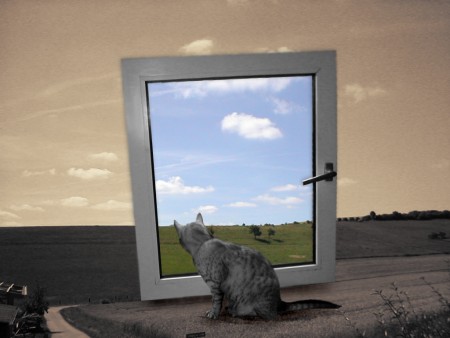 Bild: Ausblick